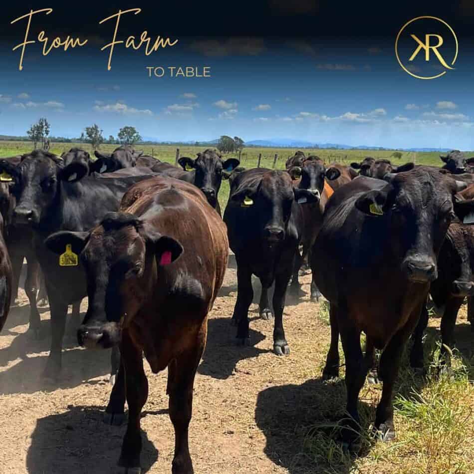 Wagyu King River Ribeye - Afbeelding 3